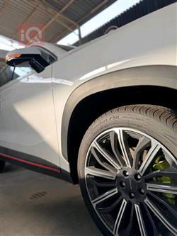 جیتۆر داشينگ